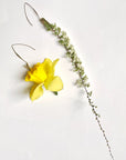 Natural Specimen Earrings
