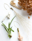 Natural Specimen Earrings