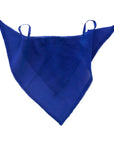 Silk Face Scarf